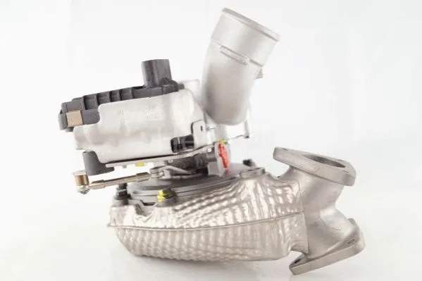 Charger, charging (supercharged/turbocharged) (5113126N)