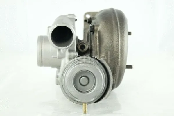 Charger, charging (supercharged/turbocharged) (5110064N)