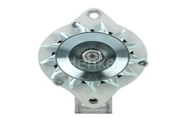 Alternator (3110074)