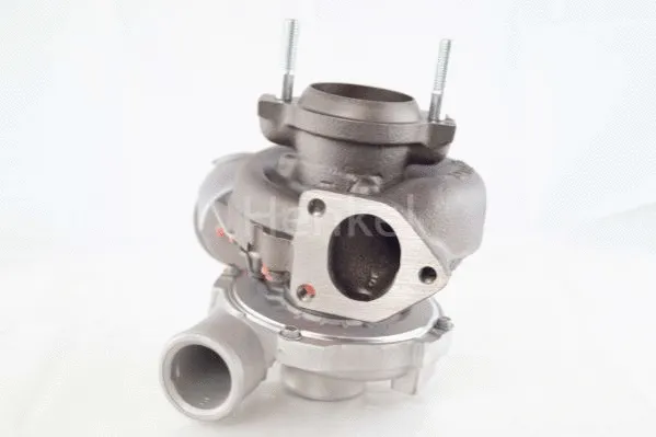 Charger, charging (supercharged/turbocharged) (5110231N)