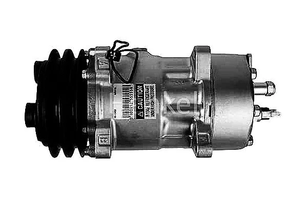 Compressor, air conditioning (7111450R)