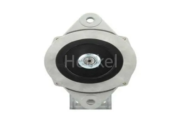 Alternator (3116304)