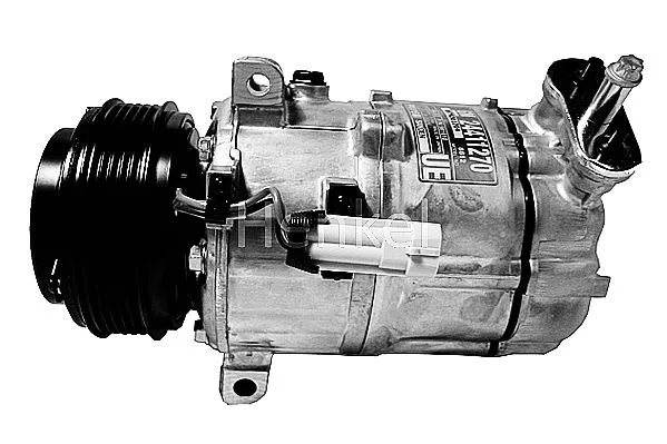 Compressor, air conditioning (7110593R)