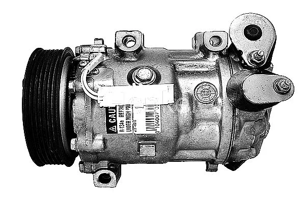 Compressor, air conditioning (7110615R)