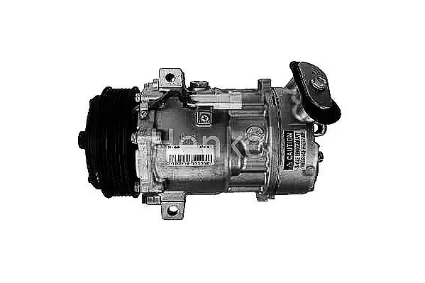 Compressor, air conditioning (7110589R)