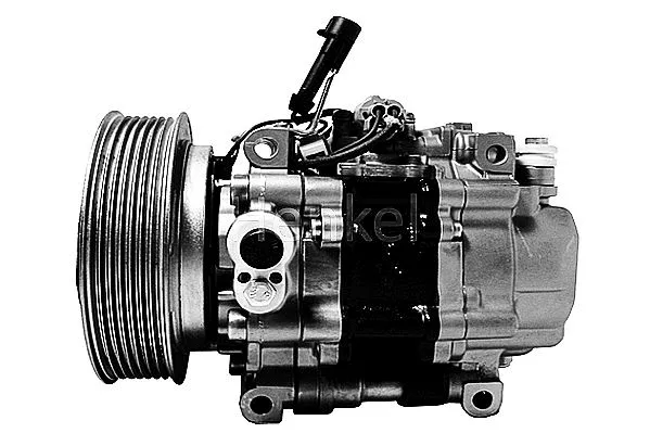 Compressor, air conditioning (7110366R)