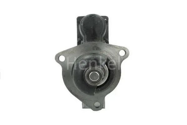 Starter (3127188)
