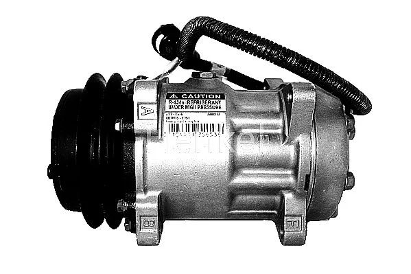 Compressor, air conditioning (7110586R)
