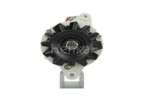 Alternator (3112553)
