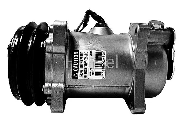 Compressor, air conditioning (7110245R)