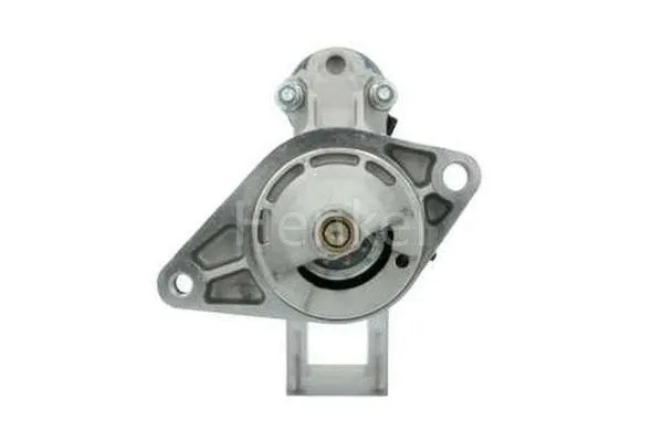 Starter (3113811)