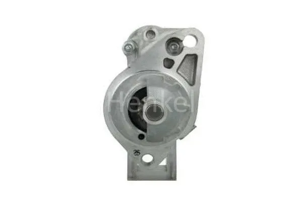 Starter (3110386)