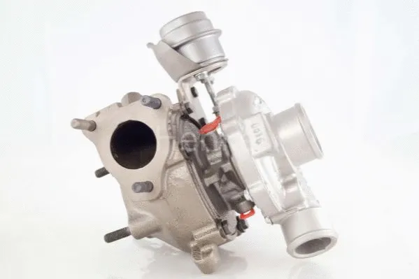 Charger, charging (supercharged/turbocharged) (5113143N)