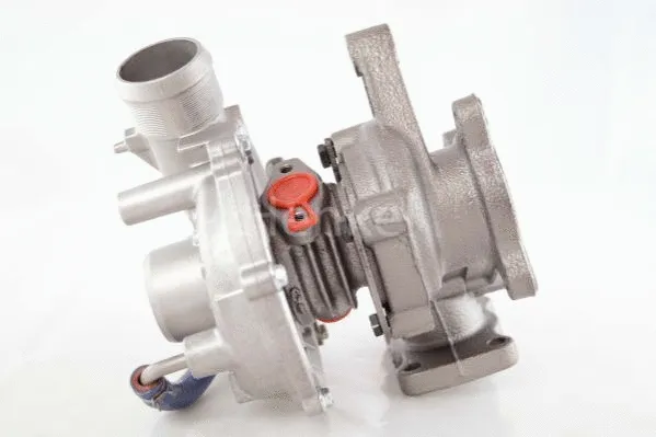 Charger, charging (supercharged/turbocharged) (5110137N)