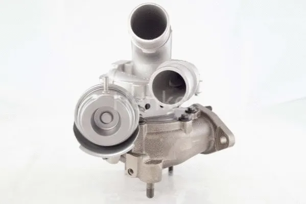 Charger, charging (supercharged/turbocharged) (5111966N)