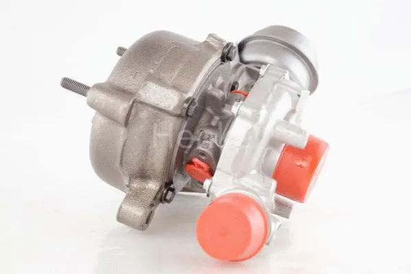 Charger, charging (supercharged/turbocharged) (5110121N)