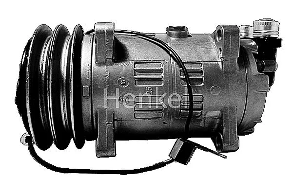 Compressor, air conditioning (7110028R)