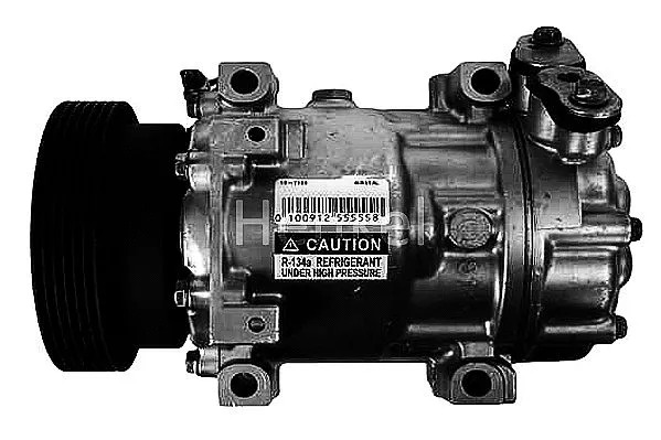 Compressor, air conditioning (7111189R)