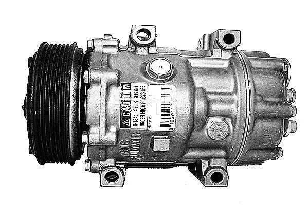 Compressor, air conditioning (7110619R)