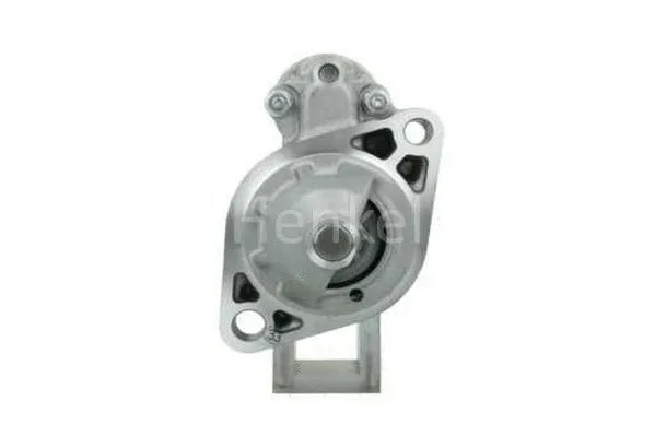 Starter (3110311)