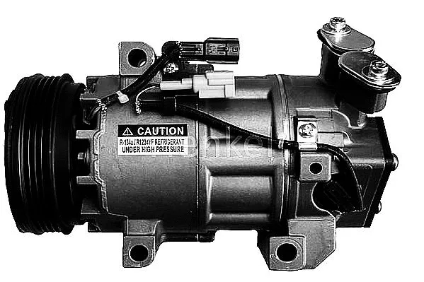 Compressor, air conditioning (7113242R)