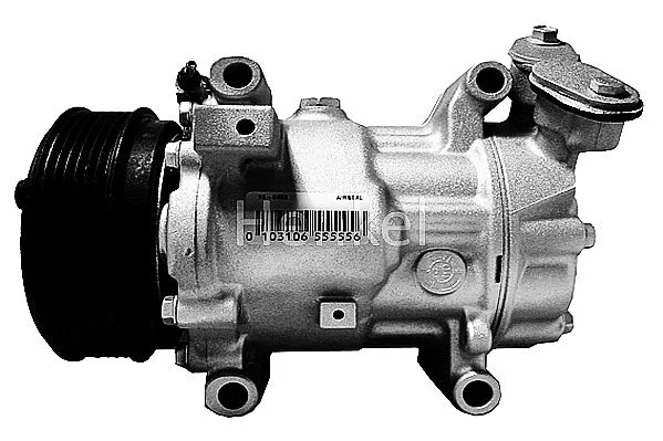Compressor, air conditioning (7110453R)