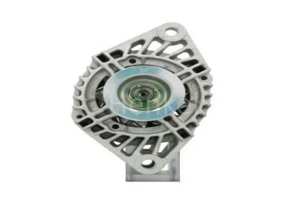 Alternator (3119163)