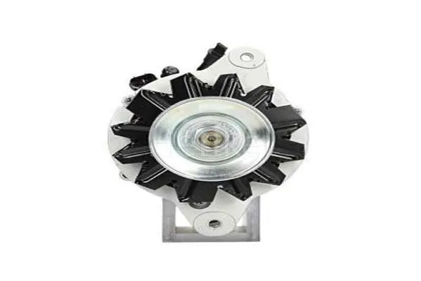 Alternator (3112581)