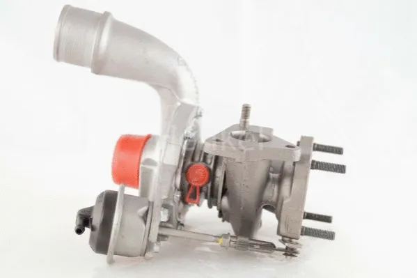 Charger, charging (supercharged/turbocharged) (5110596N)