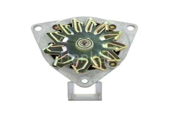 Alternator (3125216)