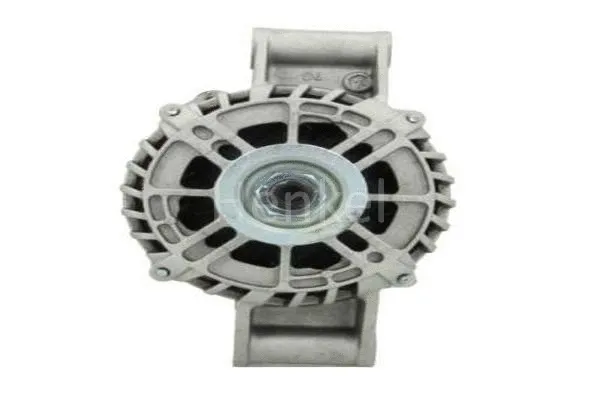 Alternator (3123233)