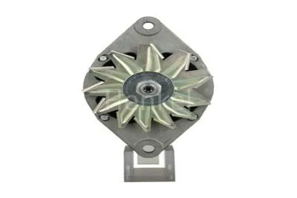 Alternator (3125971)