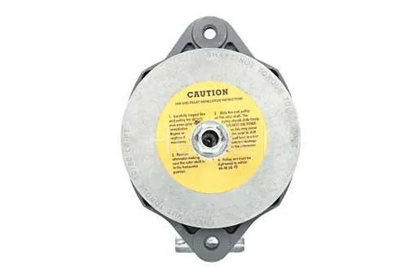 Alternator (3124382)