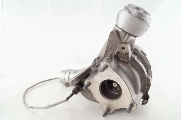 Charger, charging (supercharged/turbocharged)