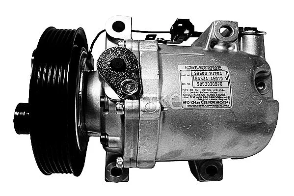 Compressor, air conditioning (7110288R)