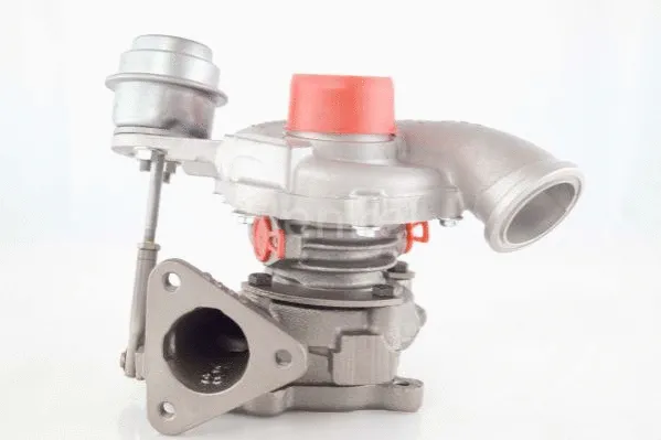 Charger, charging (supercharged/turbocharged) (5110221N)