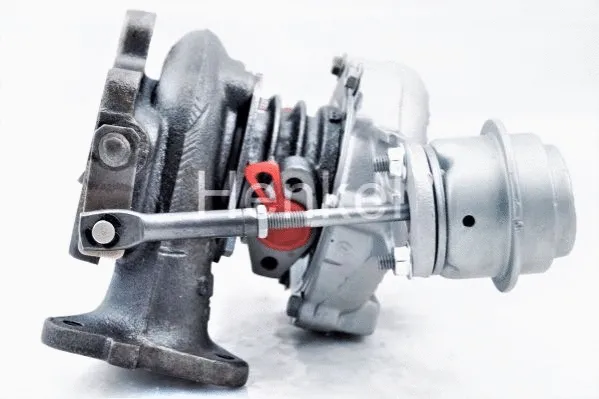 Charger, charging (supercharged/turbocharged)