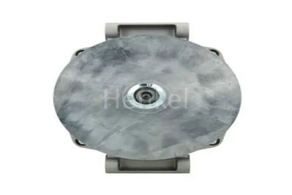 Alternator (3124457)