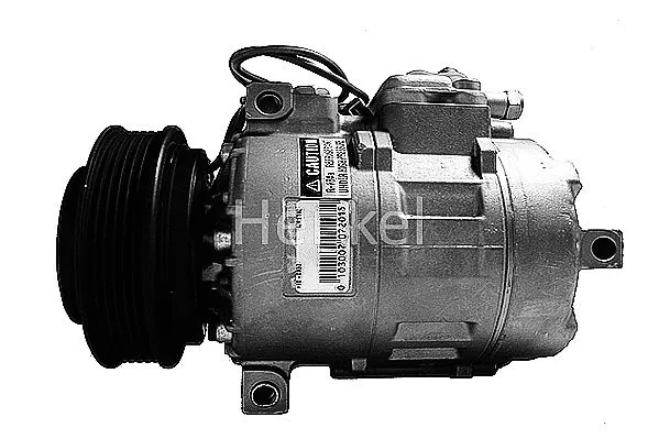 Compressor, air conditioning (7110832R)