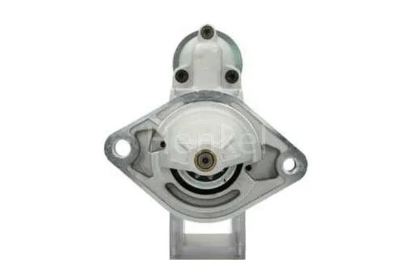 Starter (3113787)
