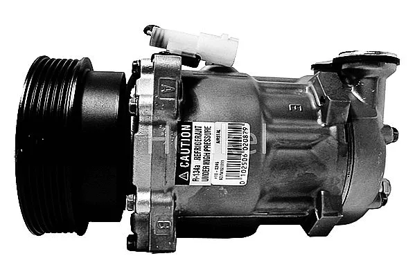 Compressor, air conditioning (7110346R)