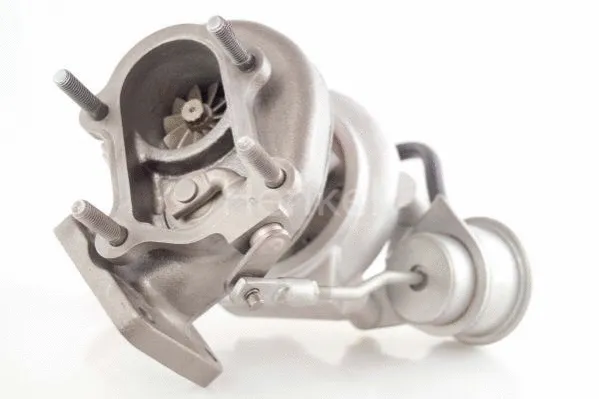 Charger, charging (supercharged/turbocharged) (5111215N)