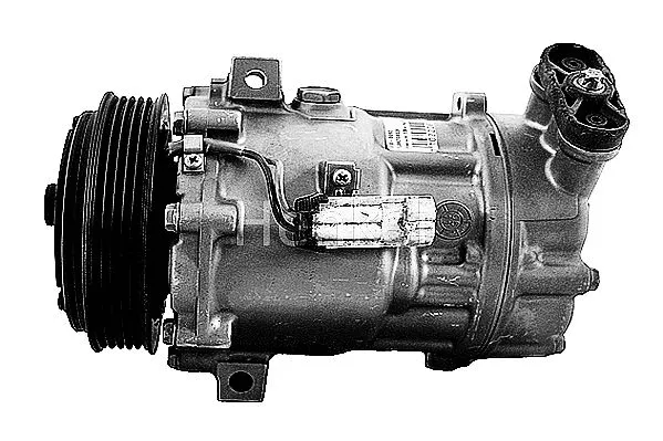 Compressor, air conditioning (7110093R)