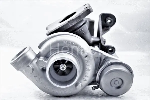 Charger, charging (supercharged/turbocharged) (5110229N)