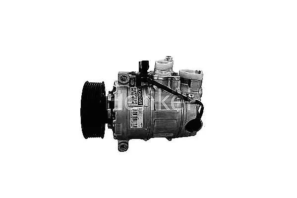 Compressor, air conditioning (7110771R)