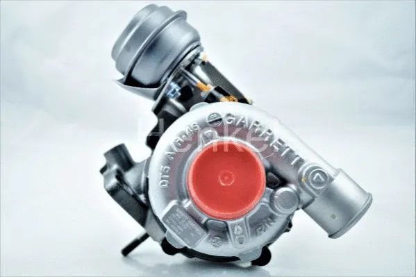 Charger, charging (supercharged/turbocharged) (5112254N)