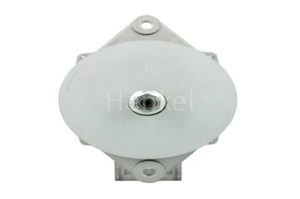 Alternator (3125123)