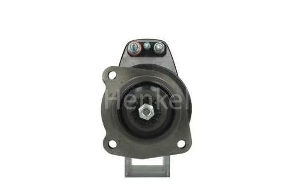 Starter (3121381)