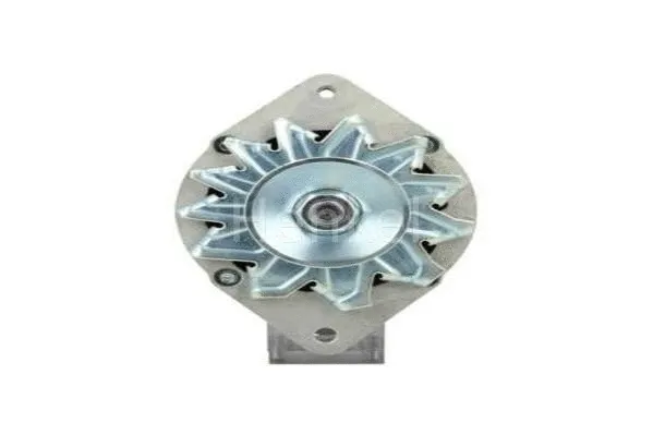 Alternator (3125127)