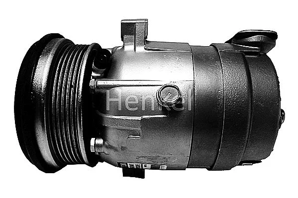Compressor, air conditioning (7110063R)